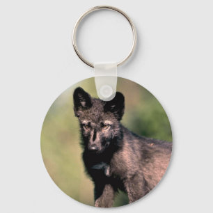 Grey Wolf-summer-(black-phase) cub Keychain