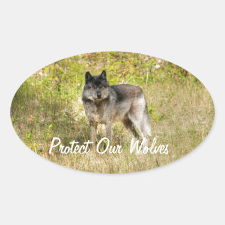 Grey Wolf & Wilderness Photo Gift Oval Sticker