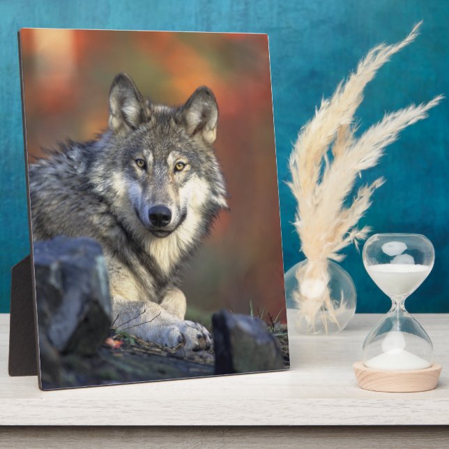 Grey Wolf Wildlife Lovers Plaque (Side)
