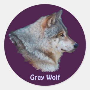 GREY WOLF Wildlife Sticker Collection