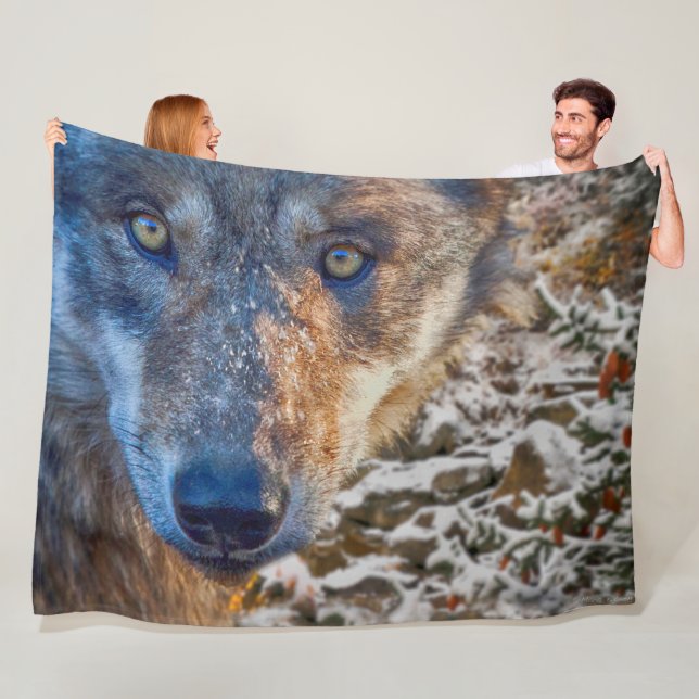 GREY WOLF WINTER'S RANGER FLEECE BLANKET (In Situ)