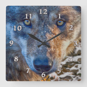 GREY WOLF WINTER'S RANGER SQUARE WALL CLOCK