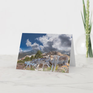 Grey Wolves Family Journey Card