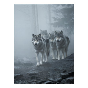 Grey Wolves in Thick Mist Poster