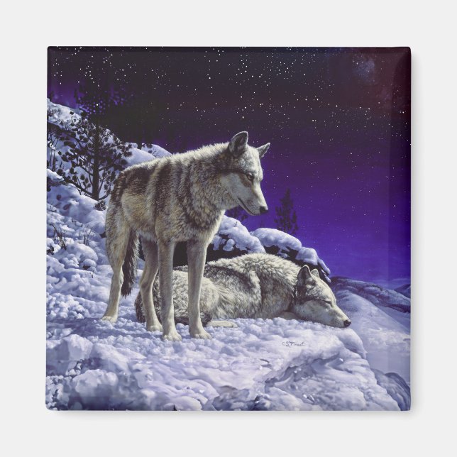 Grey Wolves in Winter Snow at Night Magnet (Front)