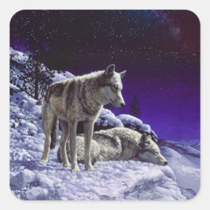 Grey Wolves in Winter Snow at Night Square Sticker