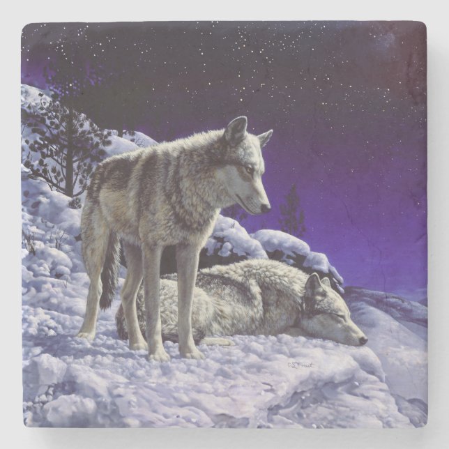 Grey Wolves in Winter Snow at Night Stone Coaster (Front)