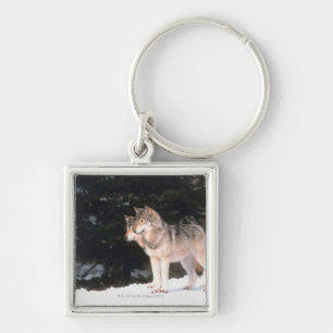 Grey wolves keychain