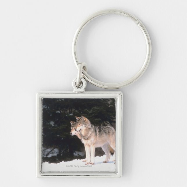 Grey wolves keychain (Front)