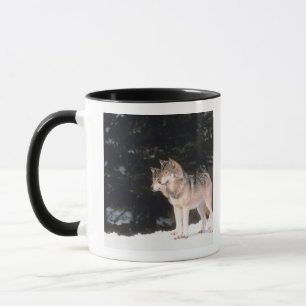 Grey wolves mug