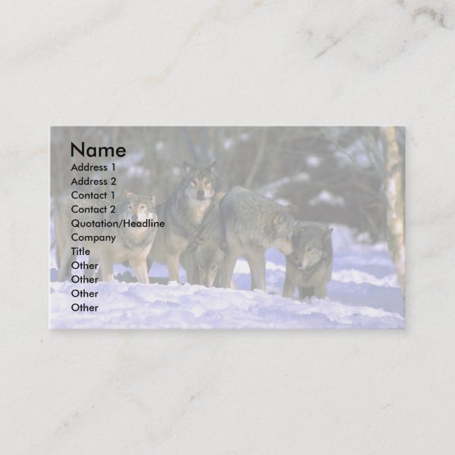 Grey Wolves-pack at edge of snowy forest Business Card (Front)