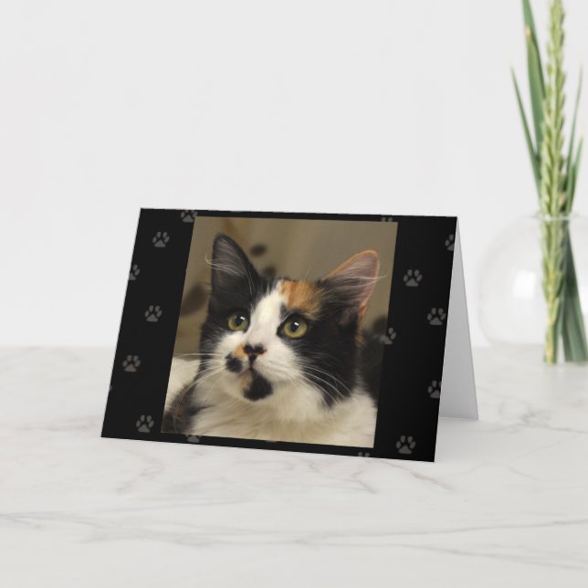 Greyfoot Cat Rescue Calico Greeting Card (Front)