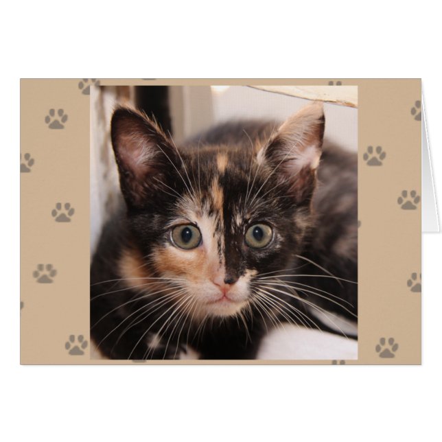 Greyfoot Cat Rescue Tortie Card (Front Horizontal)