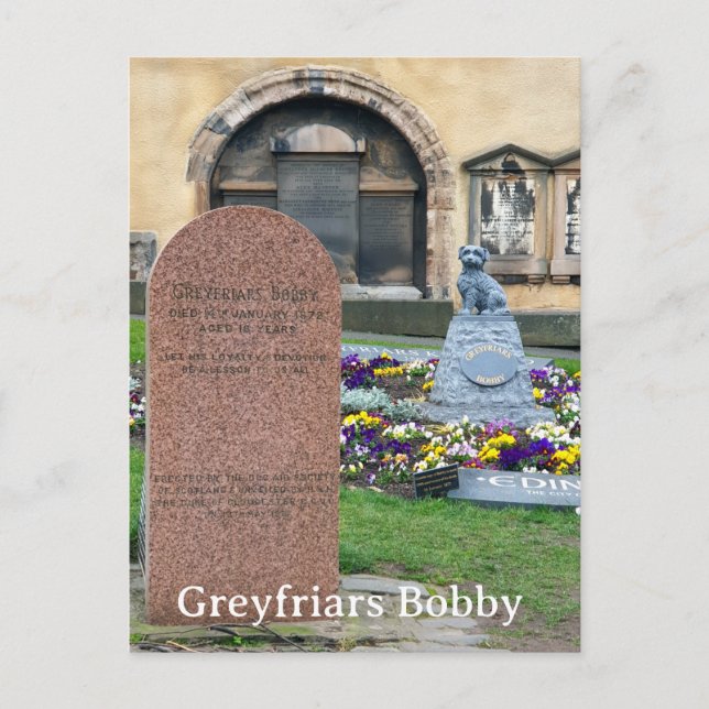 Greyfriars Bobby, Edinburgh Postcard (Front)