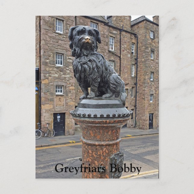 Greyfriars Bobby Postcard (Front)