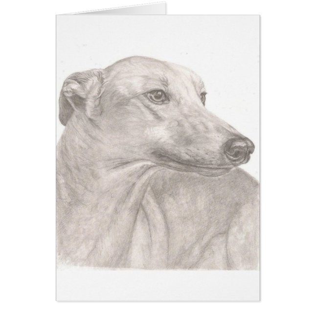 Greyhound (Front)