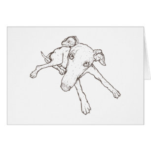 Greyhound