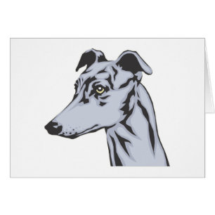 Greyhound