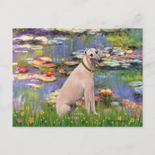 Greyhound 2 - Lilies 2 Postcard