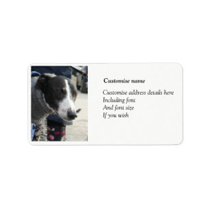 Greyhound address labels