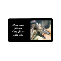 Greyhound Address Labels