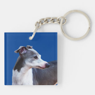 Greyhound AL