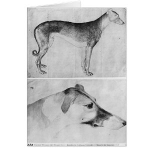 Greyhound and head of a greyhound