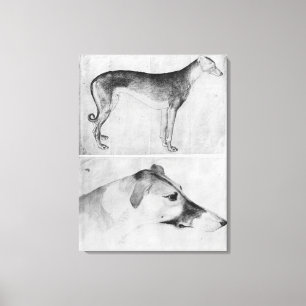 Greyhound and head of a greyhound canvas print