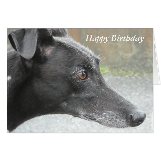 Greyhound birthday card (P437) (Front Horizontal)