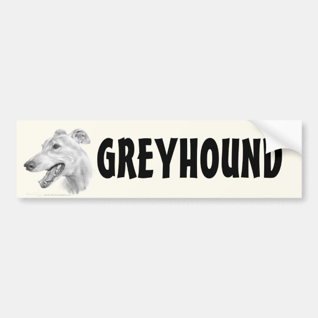 Greyhound Bumper Sticker (Front)