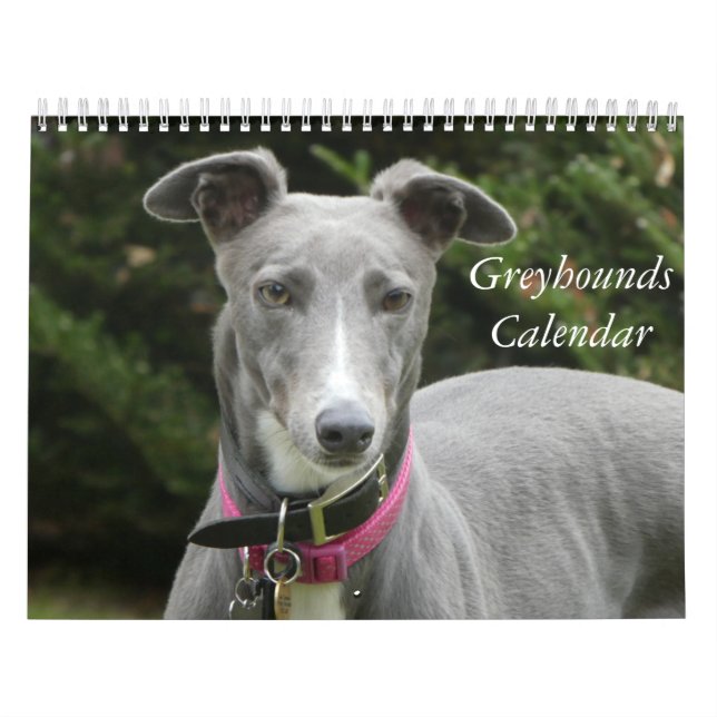 Greyhound calendar (Cover)