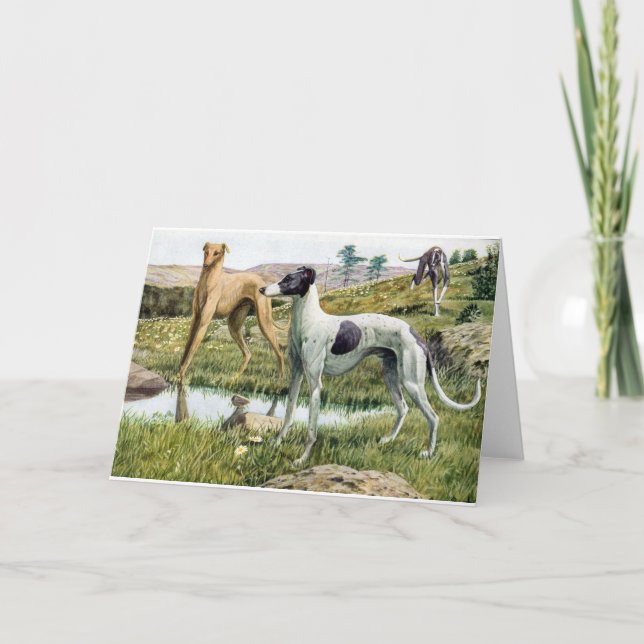 Greyhound Card (Front)