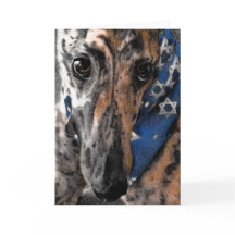 Greyhound card for Chanukah / Hanukkah / Passover