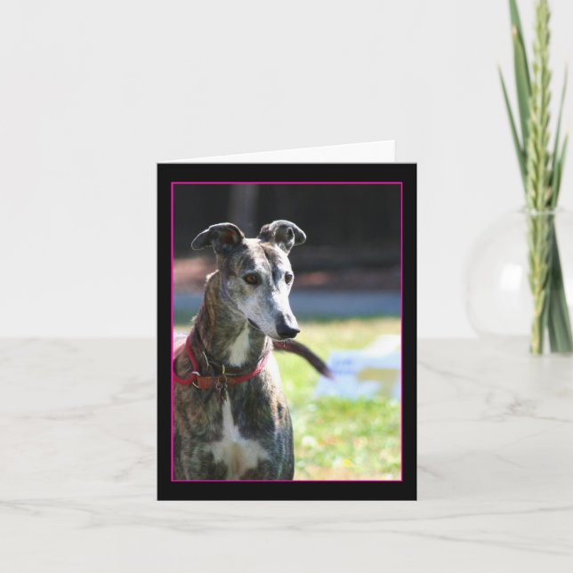 Greyhound carte pour notes (Devant)