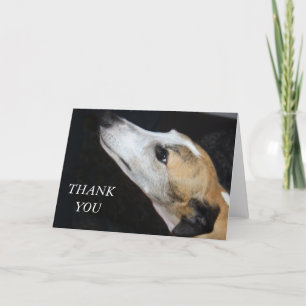 Greyhound Chien Carte de remerciements
