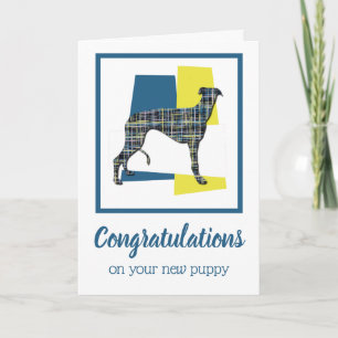 Greyhound Chien Chien Chien Félicitations Carte de