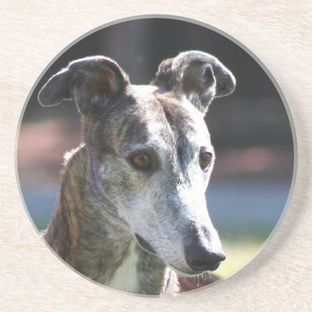 Greyhound coaster (Front)