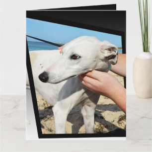 Greyhound Dimensions Big Greeting Card