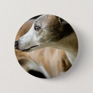 Greyhound Dog  Button