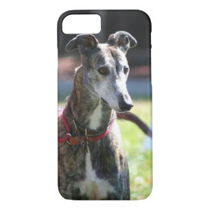 Greyhound dog Case-Mate iPhone case
