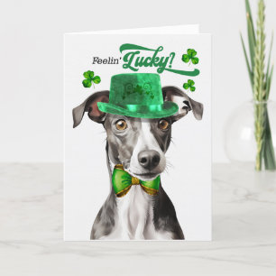 Greyhound Dog Feelin' Lucky St Patrick's Day Holiday Card