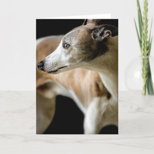 Greyhound Dog Greeting Card