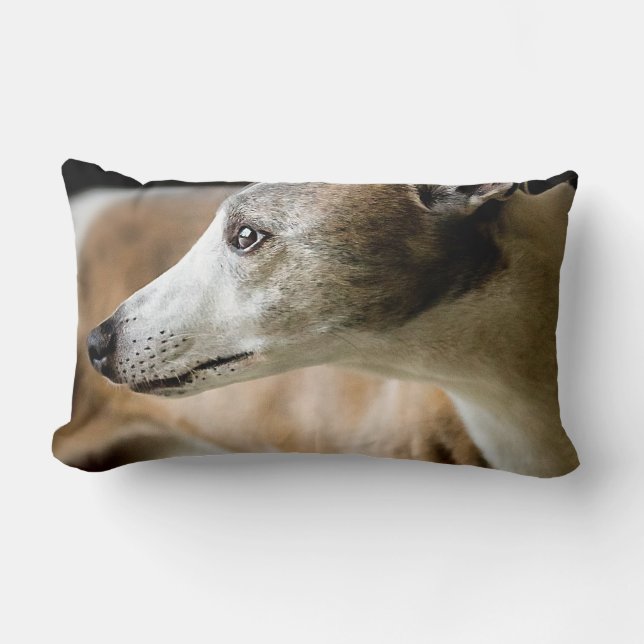 Greyhound Dog Pillow (Front)