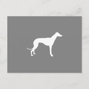 Greyhound Dog Postcard