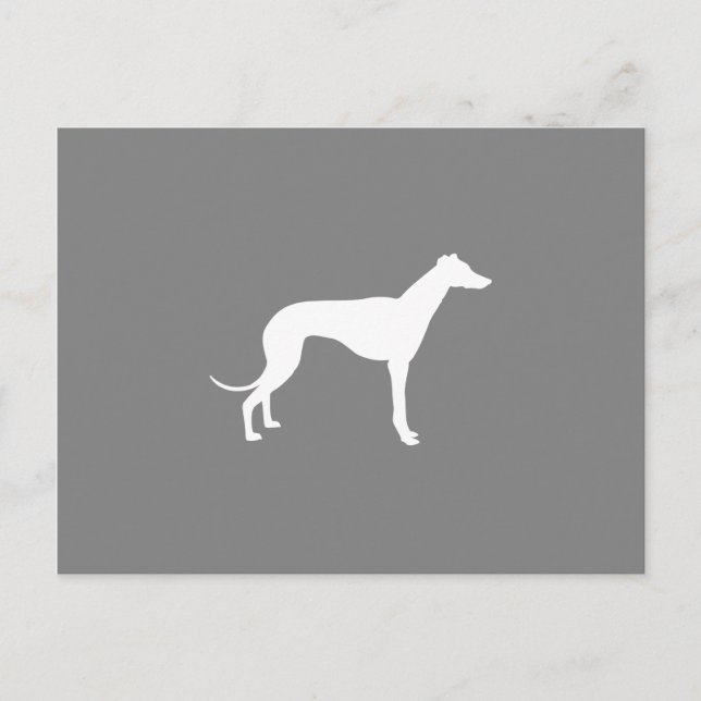 Greyhound Dog Postcard (Front)