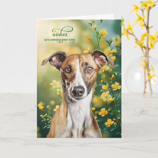 Greyhound Dog Tiny Yellow Flowers Get Well Card (Yellow Flower)