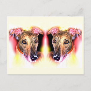 Greyhound dogs animal art postcard