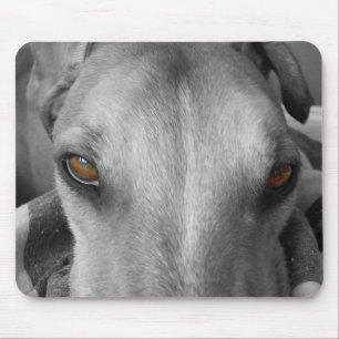 Greyhound Eyes Mouse Pad
