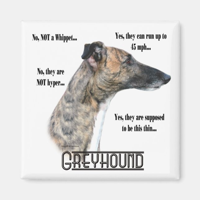 Greyhound FAQ Magnet (Front)