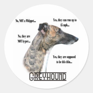 Greyhound FAQ Sicker Classic Round Sticker